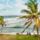 Beach scene with palm trees, turquoise waves, and three people sitting on the shore near the water's edge.