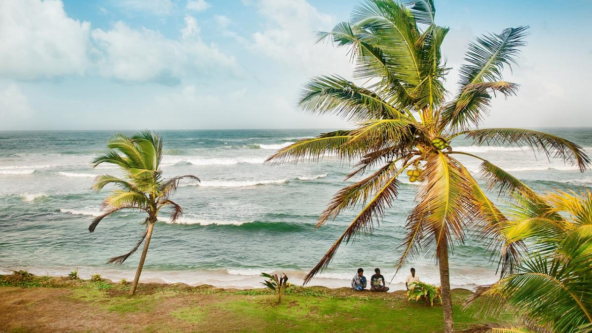 Beach scene with palm trees, turquoise waves, and three people sitting on the shore near the water's edge.