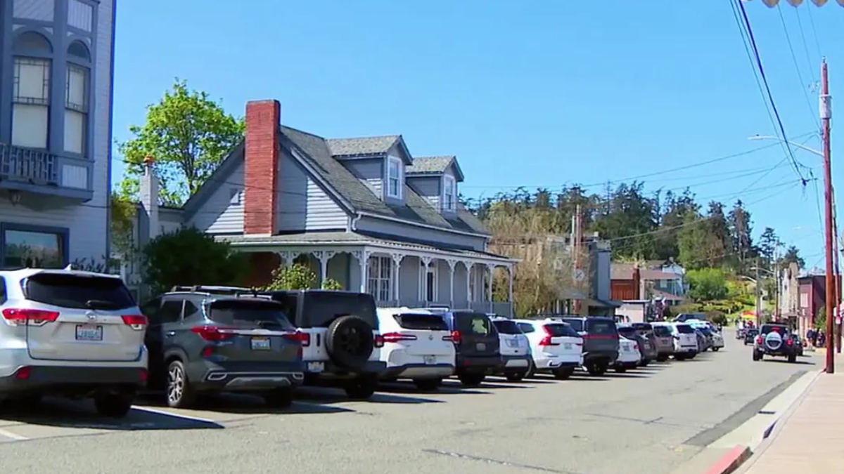 Residential street with a row of parked SUVs and cars beside a blue-grey house with a porch and chimney, sunny day.
