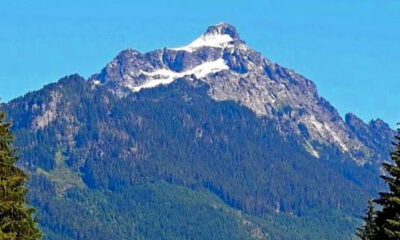 Snow-capped mountain peak rising above dense evergreen forest under a clear blue sky.