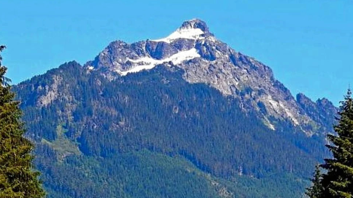 Snow-capped mountain peak rising above dense evergreen forest under a clear blue sky.