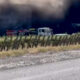 Emergency vehicles and a white van near a smoke-filled tunnel, seen from the roadside with a wooden fence in the foreground