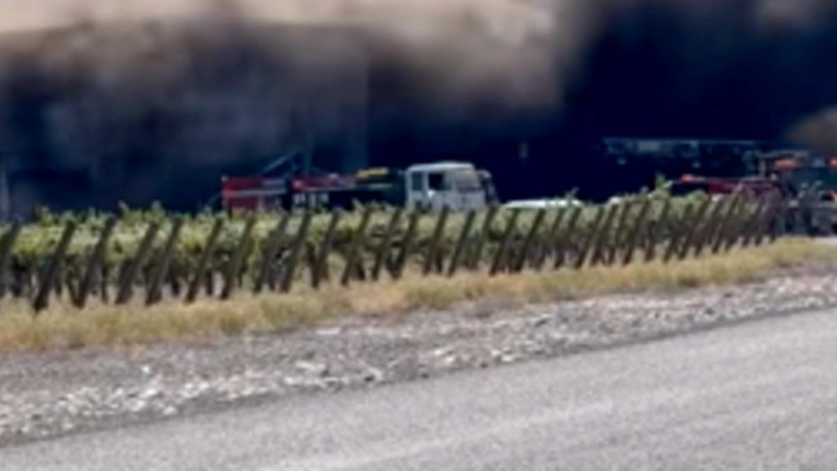 Emergency vehicles and a white van near a smoke-filled tunnel, seen from the roadside with a wooden fence in the foreground