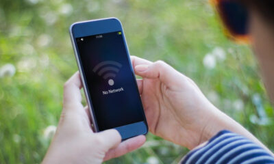 Smartphone held outdoors showing a 'No Network' message on the screen with a Wi‑Fi icon in a green, natural background.