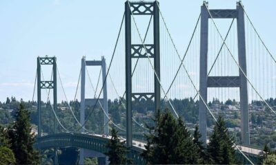 Suspension bridge with tall towers and cascading cables, spanning a forested valley with a distant residential area.