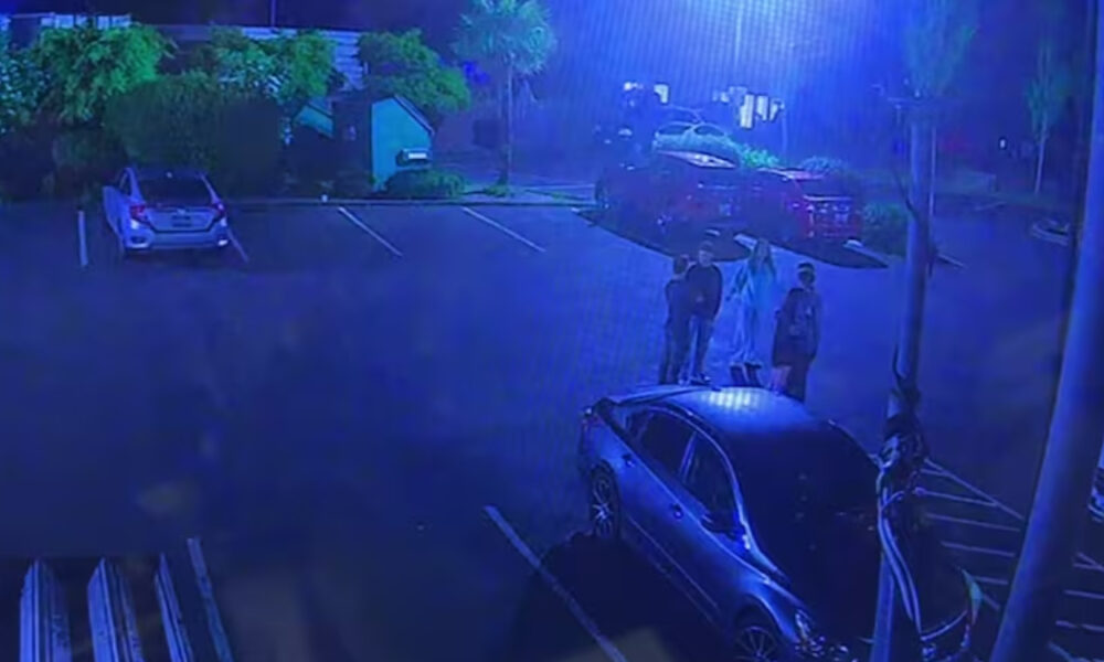 Blue emergency lights illuminate a nighttime parking lot; a dark SUV is parked in the foreground while a group of four people stand nearby.