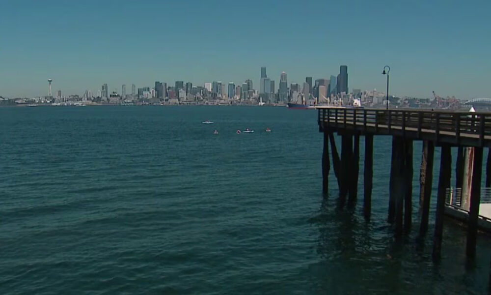 Calm harbor with a distant city skyline and a wooden pier extending from the right into the water, under a clear blue sky.