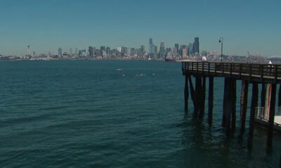 Calm harbor with a distant city skyline and a wooden pier extending from the right into the water, under a clear blue sky.