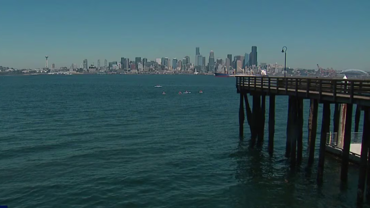 Calm harbor with a distant city skyline and a wooden pier extending from the right into the water, under a clear blue sky.