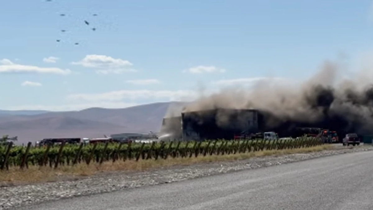 Building on fire along a rural highway with thick black smoke and emergency vehicles on scene near a vineyard fence.