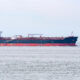 Large cargo ship sailing on calm sea under a pale sky, blue hull with red bottom edge.