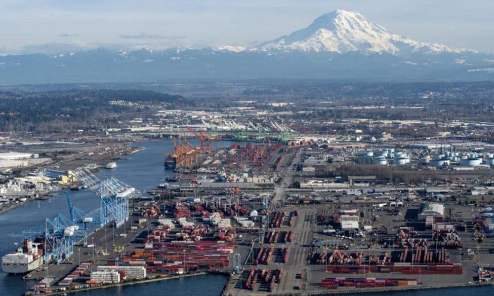 Busy cargo port with colorful containers and blue cranes along the waterfront, mountain in the background.