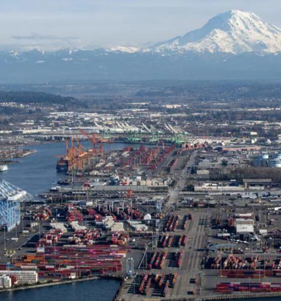 Busy cargo port with colorful containers and blue cranes along the waterfront, mountain in the background.