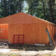 Wooden building under construction in a forest, with plywood walls, a peaked roof, and ladders leaning against it.
