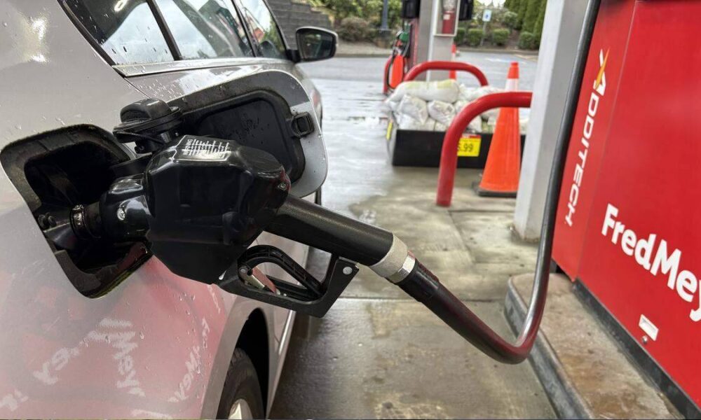 Close-up of a gas pump nozzle inserted into a silver car's fuel filler at a fueling station, with orange cones and a red Fred Meyer sign in the background.