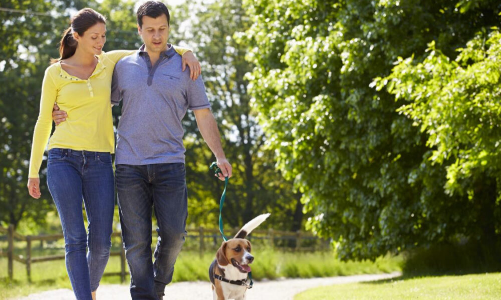Couple walking arm-in-arm with their dog on a leash along a sunny park path.