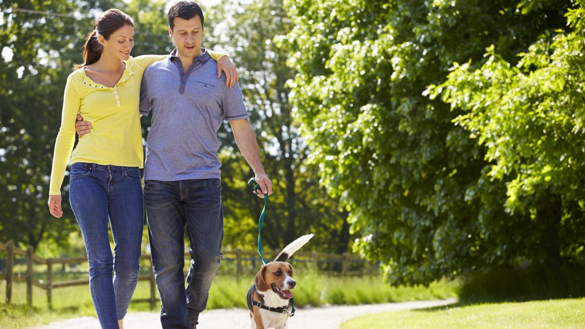 Couple walking arm-in-arm with their dog on a leash along a sunny park path.