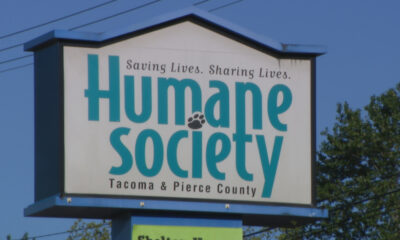 Sign for the Humane Society Tacoma & Pierce County with the slogan Saving Lives. Sharing Lives.