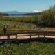 A person stands on a wooden boardwalk over a marsh, with a lake, trees, and a distant snow‑capped mountain.