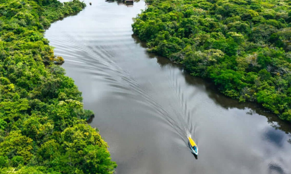 A small yellow-and-blue boat speeds along a winding river flanked by lush green rainforest (aerial view).”,