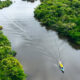 A small yellow-and-blue boat speeds along a winding river flanked by lush green rainforest (aerial view).”,