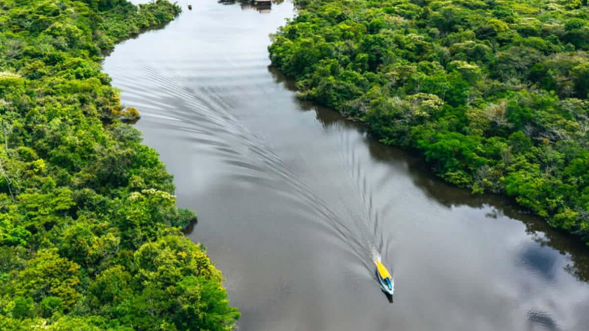 A small yellow-and-blue boat speeds along a winding river flanked by lush green rainforest (aerial view).”,
