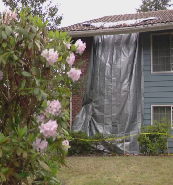 Blue house with a large gray tarp covering a section of the wall, flanked by pink rhododendron flowers in the foreground and yellow caution tape on the ground.