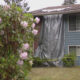 Blue house with a large gray tarp covering a section of the wall, flanked by pink rhododendron flowers in the foreground and yellow caution tape on the ground.