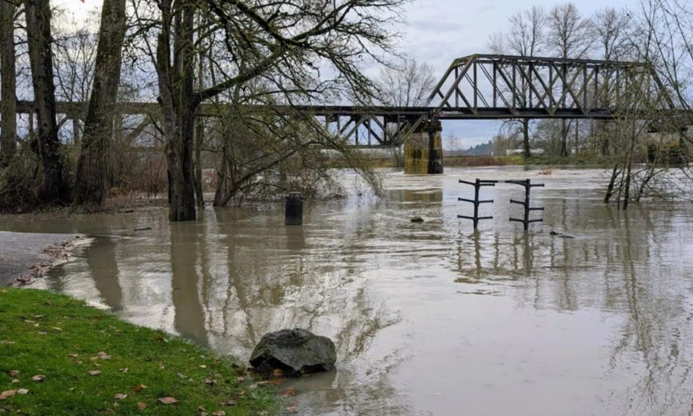Flooded riverside with a metal truss bridge, bare trees, and reflective water surface.