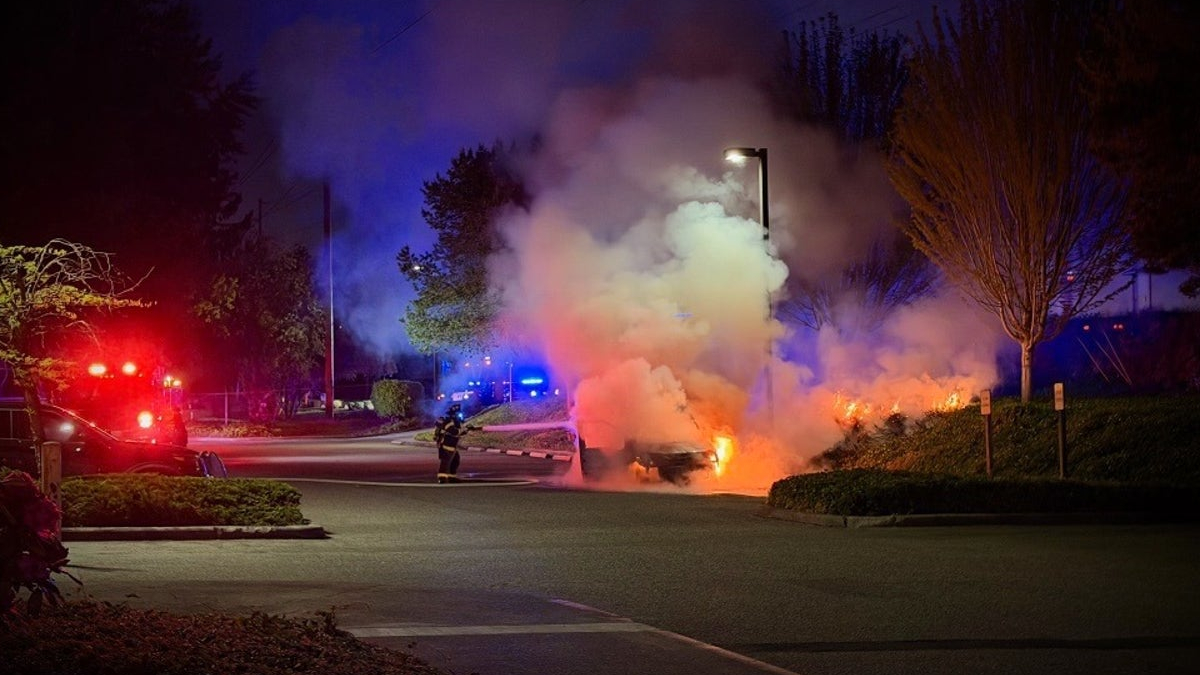 Car on fire in a parking lot at night, firefighters spraying flames amid red and blue emergency lights.