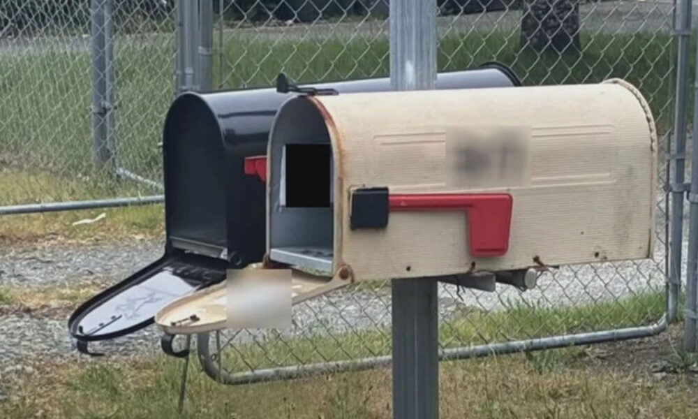 Beige mailbox with a red flag on a metal post, its curved lid open and the inner slot visible near a chain-link fence.