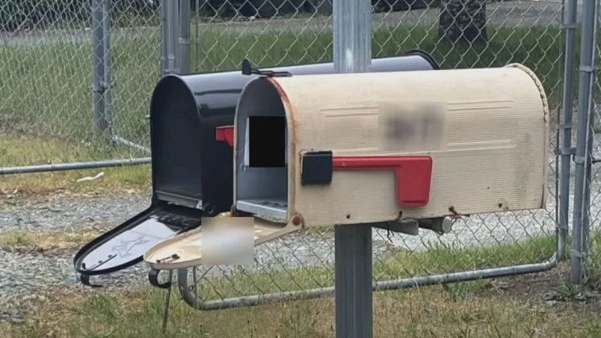 Beige mailbox with a red flag on a metal post, its curved lid open and the inner slot visible near a chain-link fence.