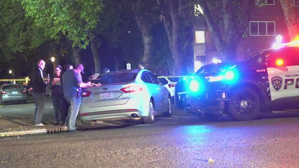 Nighttime street scene with a gray sedan stopped on the curb, police car flashing blue and red lights, and a group of people talking near the trunk.