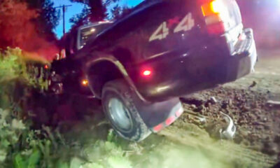 Dark SUV tilted in a ditch with 44 on its side, rear lights on, mud and vegetation around at dusk/dawn.