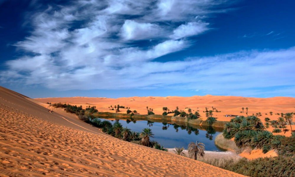 Desert oasis with palm trees beside a calm blue pool, surrounded by orange sand dunes under a blue sky.