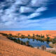 Desert oasis with palm trees beside a calm blue pool, surrounded by orange sand dunes under a blue sky.