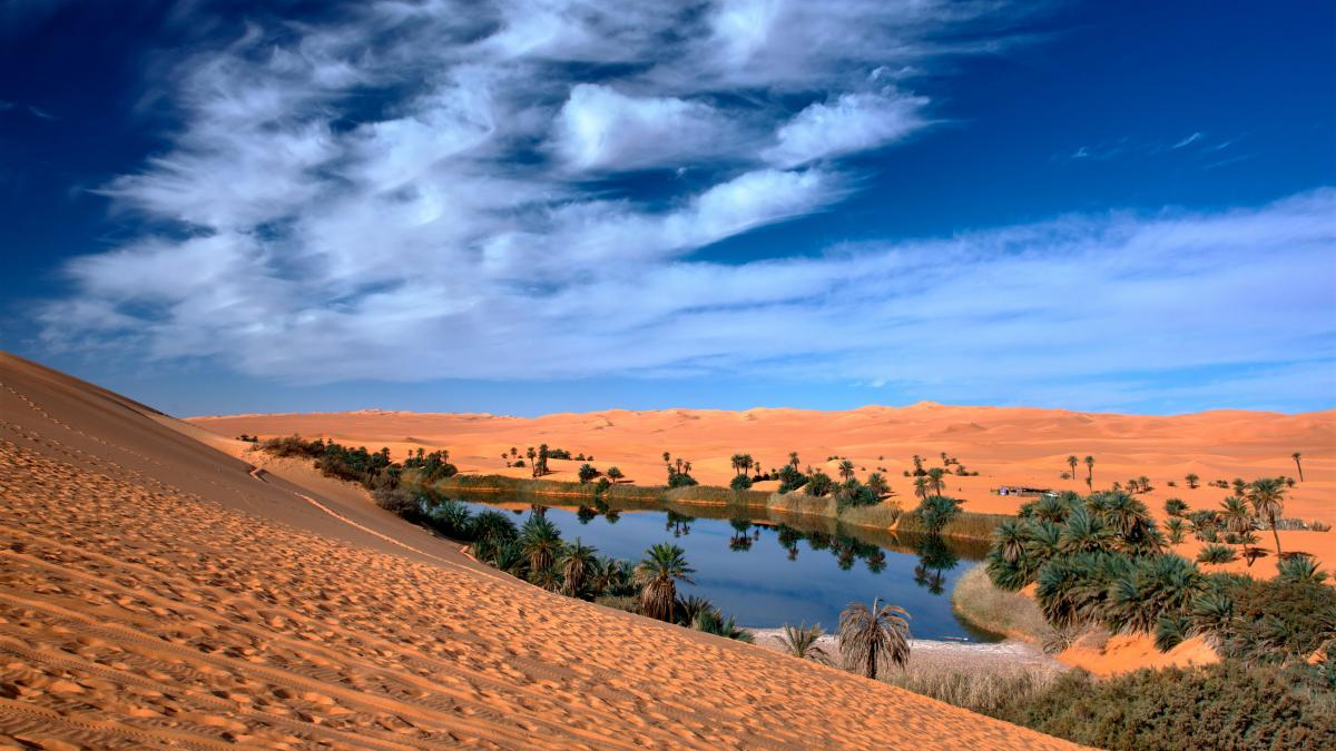 Desert oasis with palm trees beside a calm blue pool, surrounded by orange sand dunes under a blue sky.