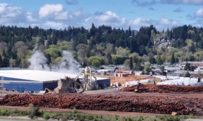 Industrial wood-processing yard with steam rising from equipment and huge piles of timber in the foreground, a blue-roofed building in the midground and forested hills in the background