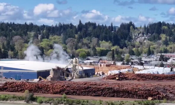 Industrial wood-processing yard with steam rising from equipment and huge piles of timber in the foreground, a blue-roofed building in the midground and forested hills in the background