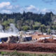 Industrial wood-processing yard with steam rising from equipment and huge piles of timber in the foreground, a blue-roofed building in the midground and forested hills in the background