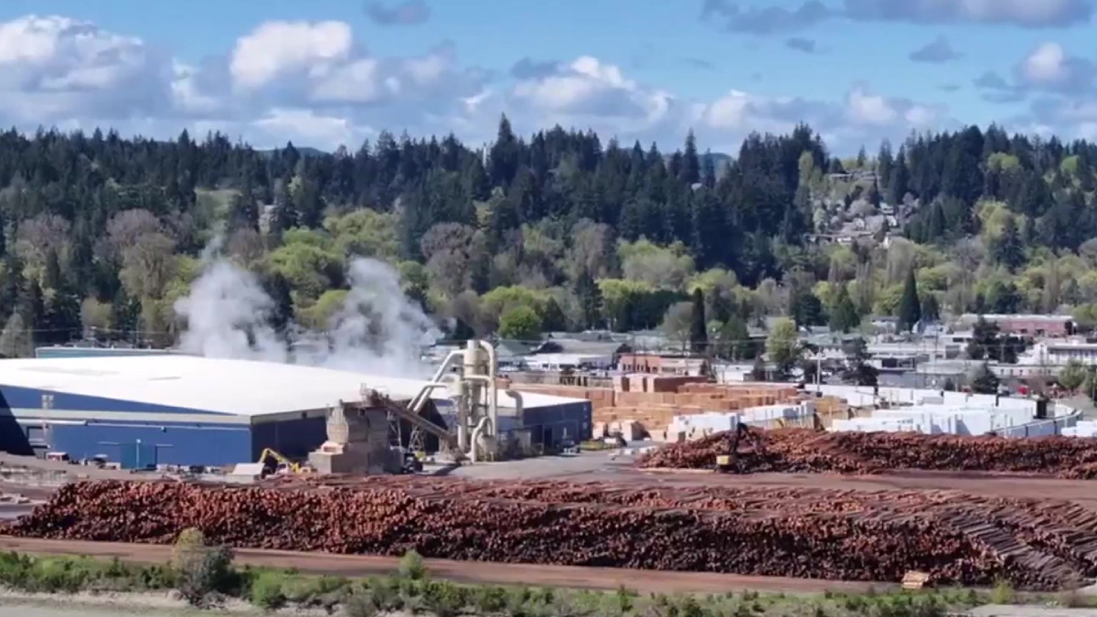 Industrial wood-processing yard with steam rising from equipment and huge piles of timber in the foreground, a blue-roofed building in the midground and forested hills in the background