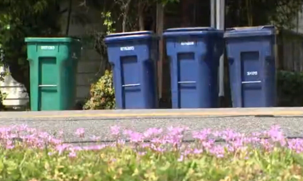Row of blue and green garbage bins lined up along a curb, with pink flowers in the foreground.