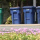 Row of blue and green garbage bins lined up along a curb, with pink flowers in the foreground.