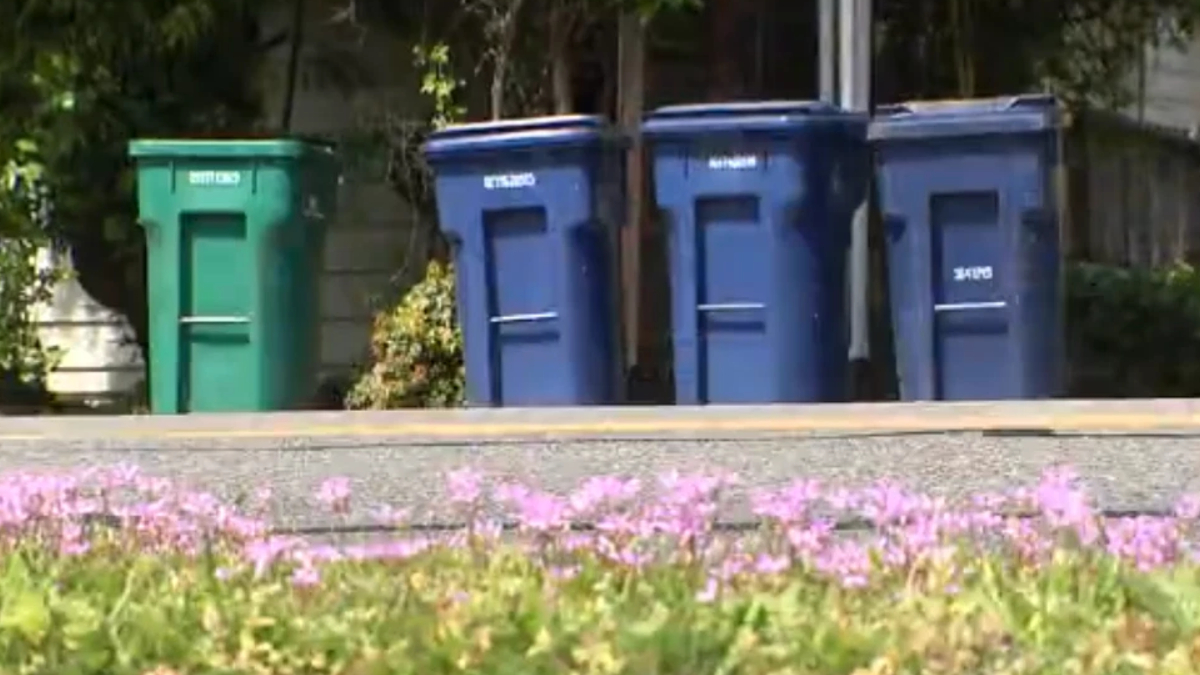 Row of blue and green garbage bins lined up along a curb, with pink flowers in the foreground.