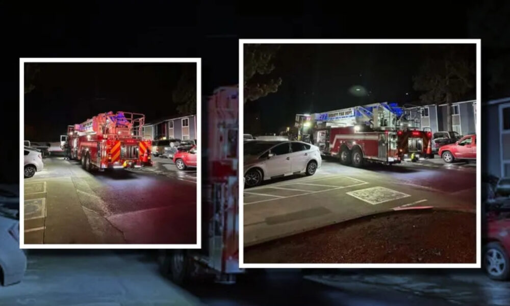 Night scene with two fire trucks in a parking lot, emergency lights flashing, surrounded by parked cars (collage-style).