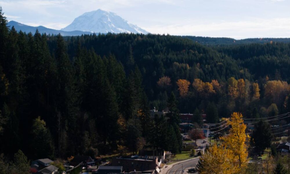 Autumnal hillside town tucked along a forested slopes with a snow-capped mountain in the distance.