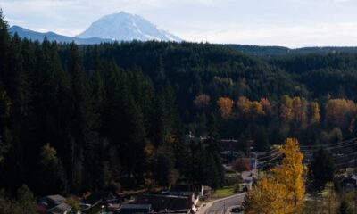 Autumnal hillside town tucked along a forested slopes with a snow-capped mountain in the distance.