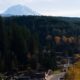 Autumnal hillside town tucked along a forested slopes with a snow-capped mountain in the distance.