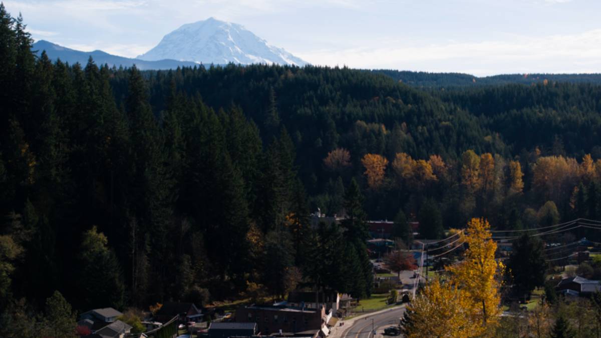 Autumnal hillside town tucked along a forested slopes with a snow-capped mountain in the distance.