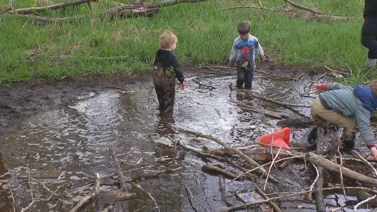 Children play in a muddy puddle surrounded by green grass, wading through water and scattered branches and sticks.